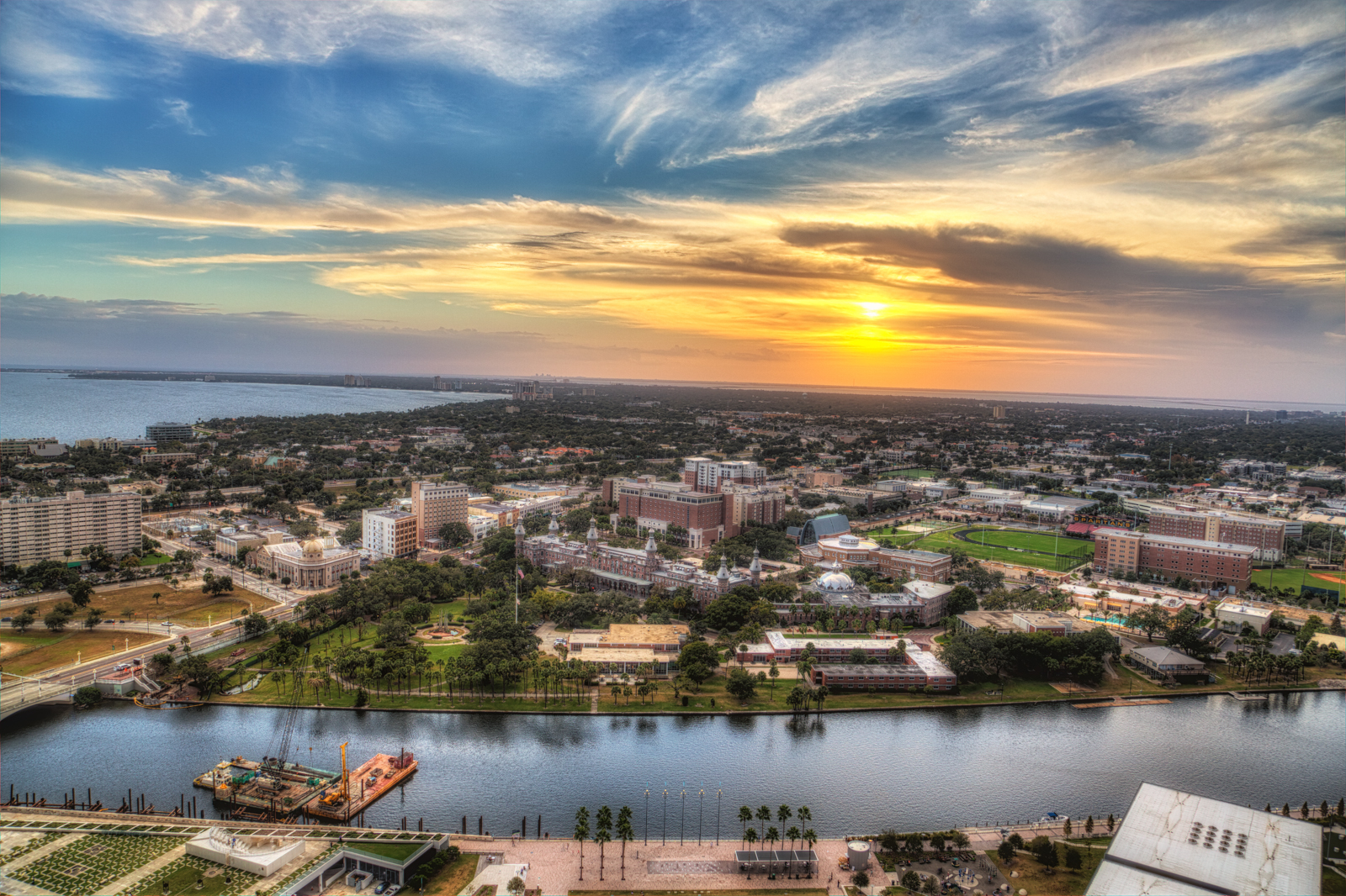 3 Kinds of Floridian Wildlife and How to Experience Their Majesty