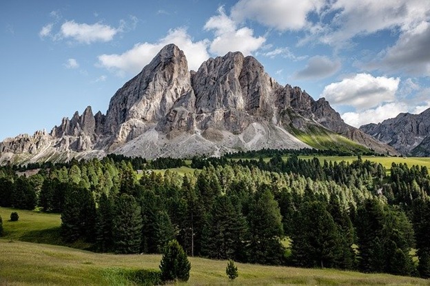 the alpine forests against the rocky mountains in the background